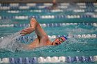 Swim vs Bentley  Wheaton College Swimming & Diving vs Bentley University. - Photo by Keith Nordstrom : Wheaton, Swimming & Diving